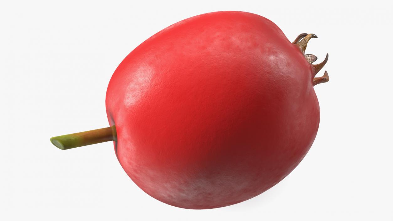 Hawthorn Berry 3D model