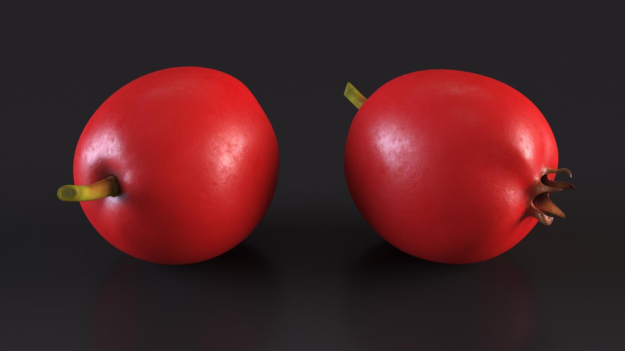 Hawthorn Berry 3D model