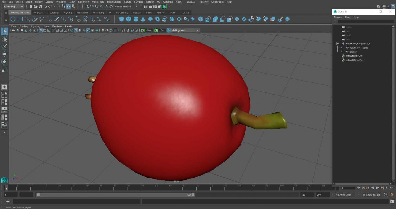 Hawthorn Berry 3D model