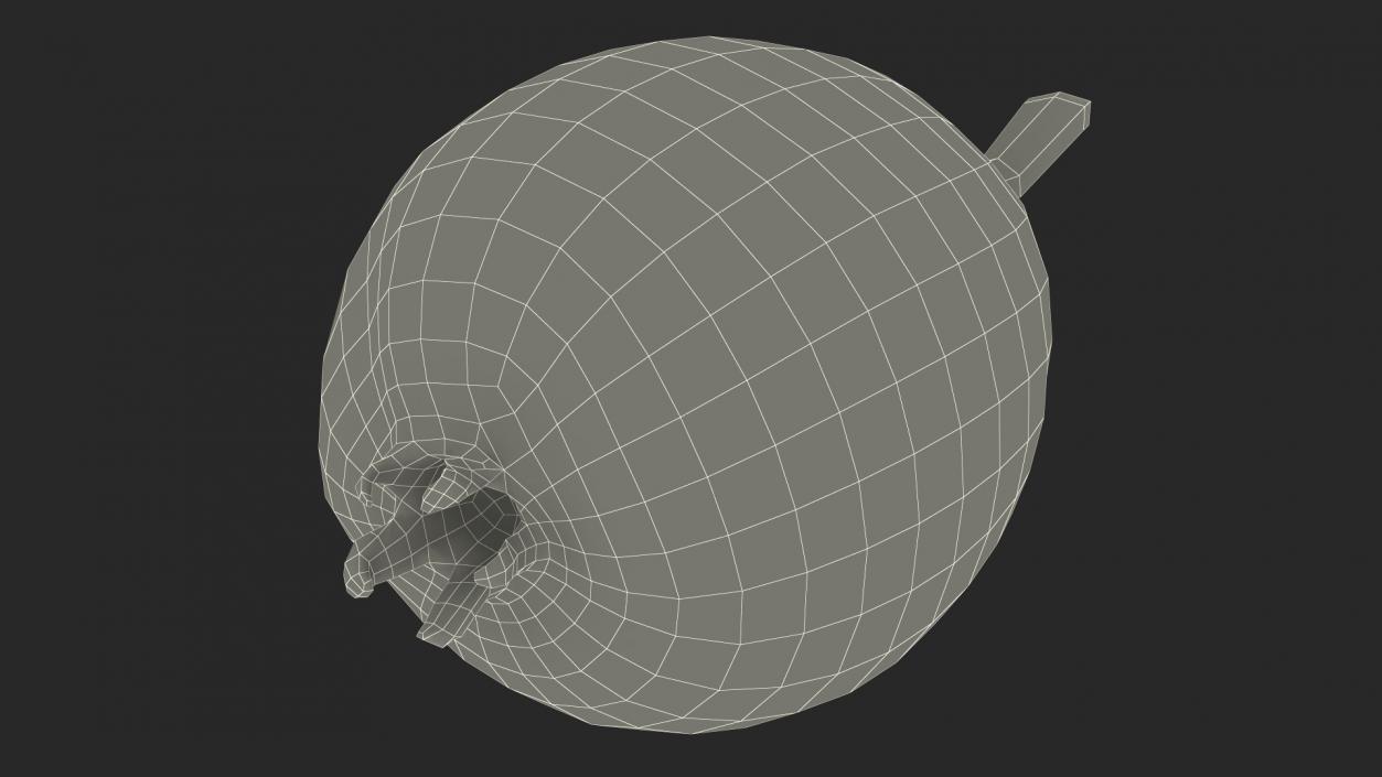 Hawthorn Berry 3D model