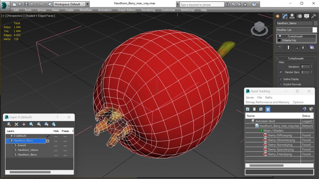 Hawthorn Berry 3D model