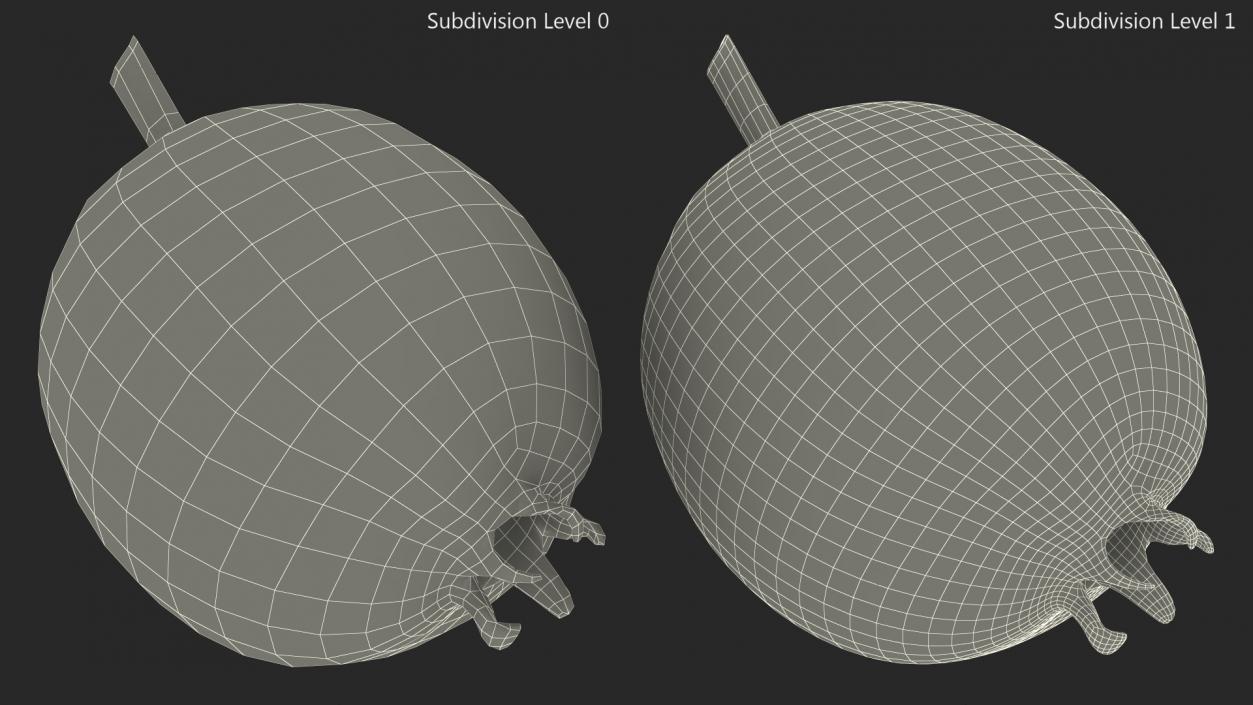 Hawthorn Berry 3D model