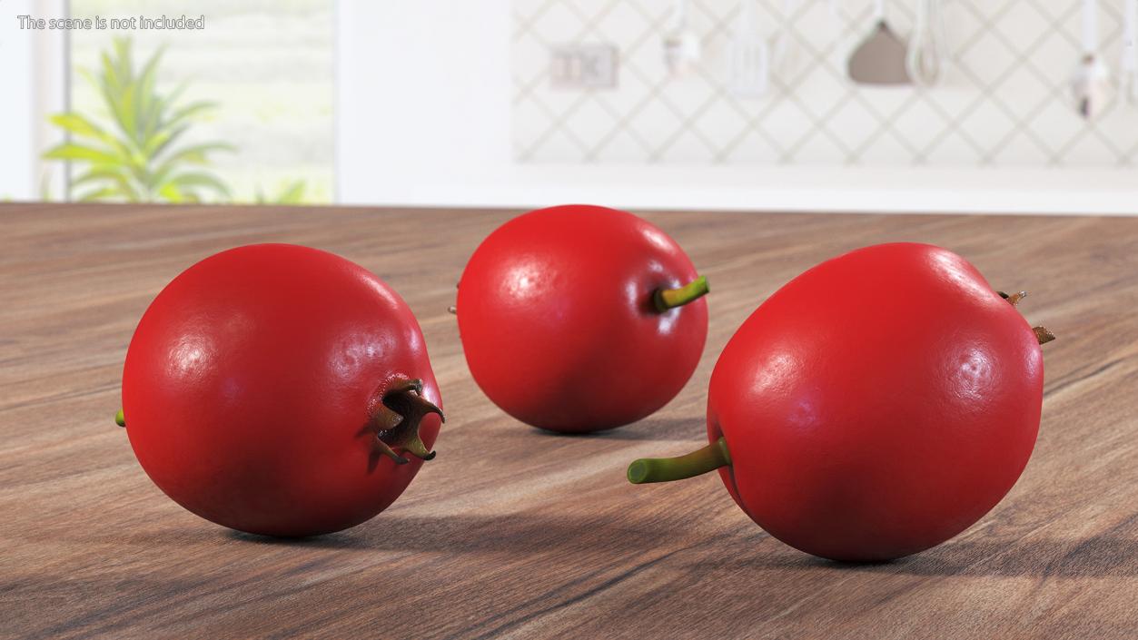 Hawthorn Berry 3D model