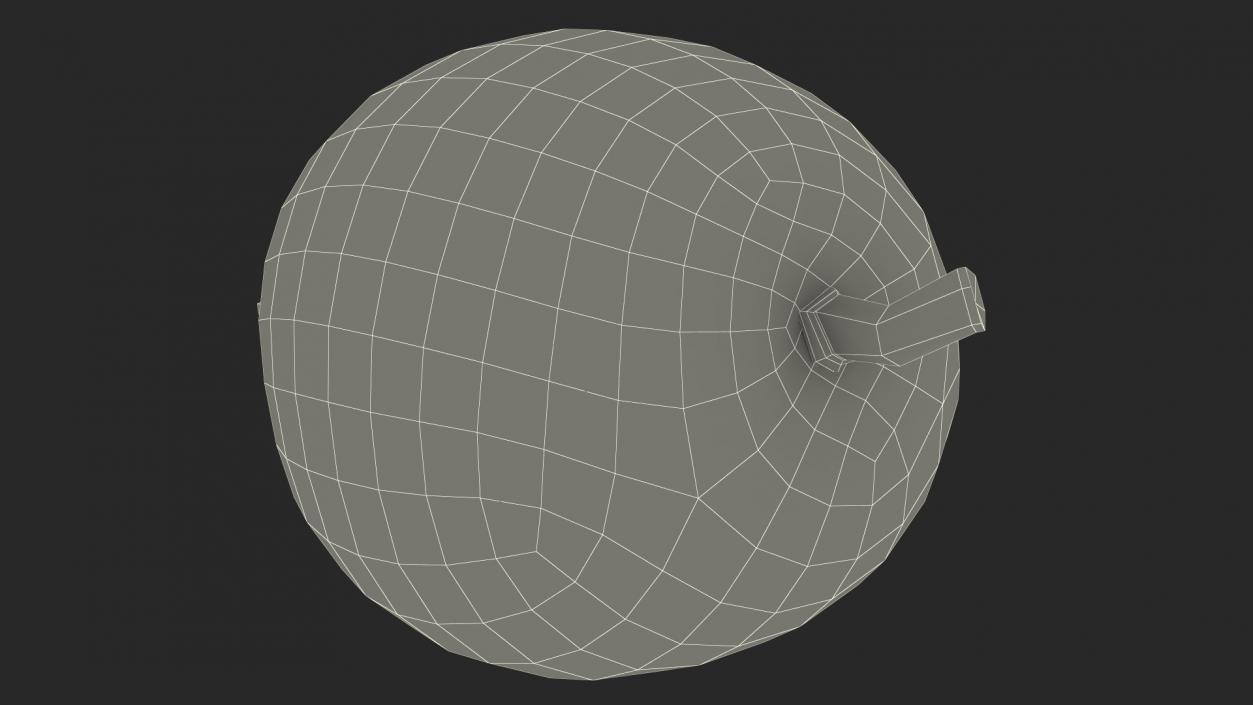 Hawthorn Berry 3D model