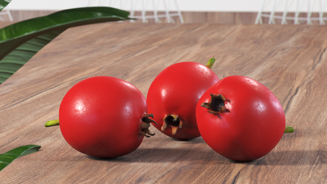 Hawthorn Berry 3D model