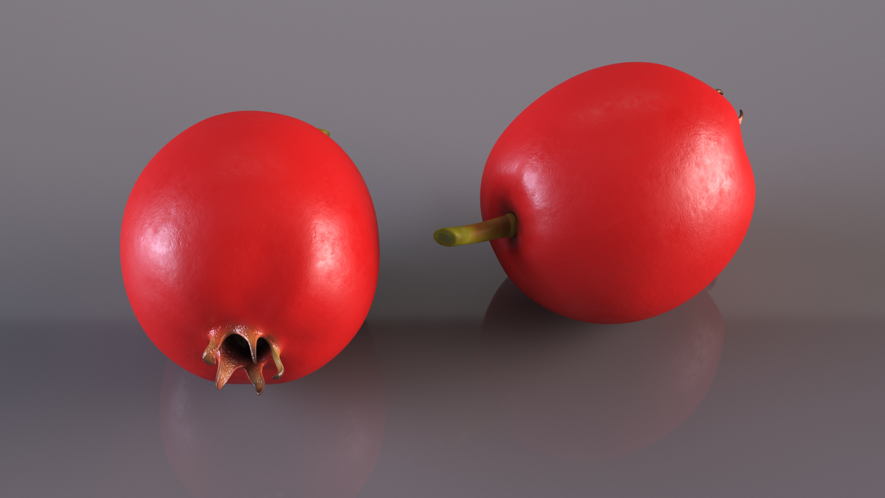 Hawthorn Berry 3D model