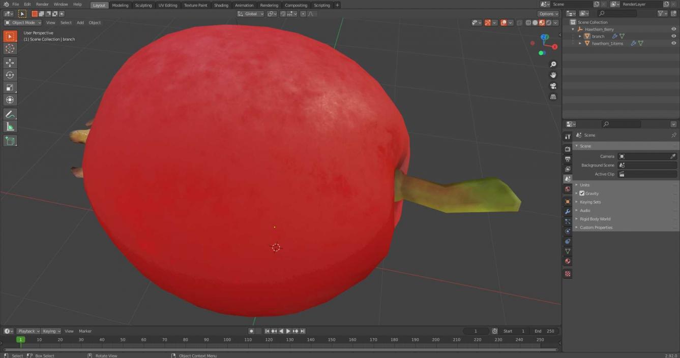 Hawthorn Berry 3D model