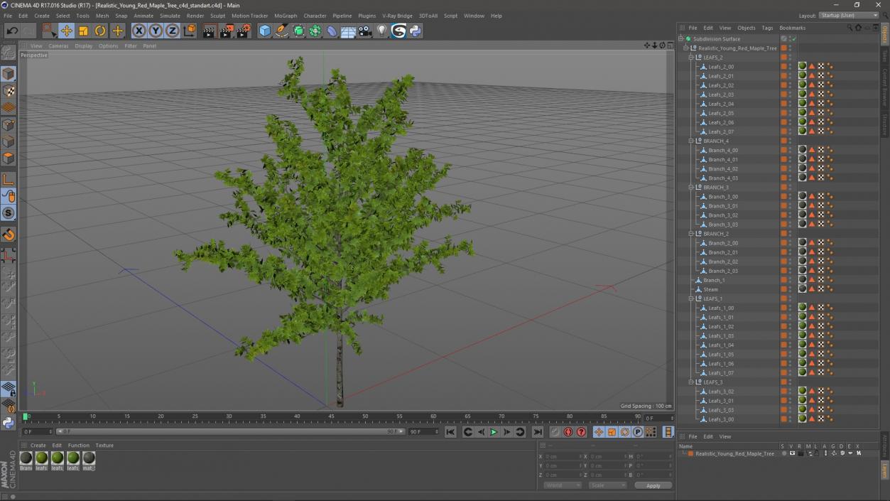 3D model Realistic Young Red Maple Tree