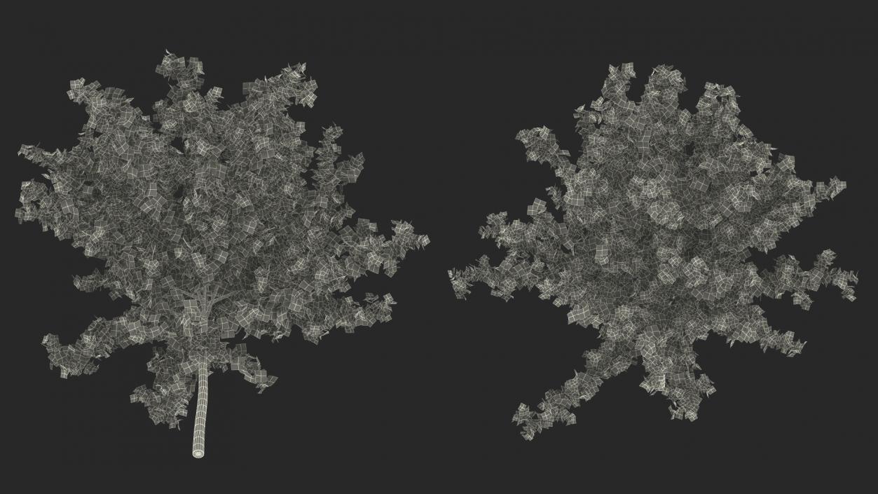 3D model Realistic Young Red Maple Tree