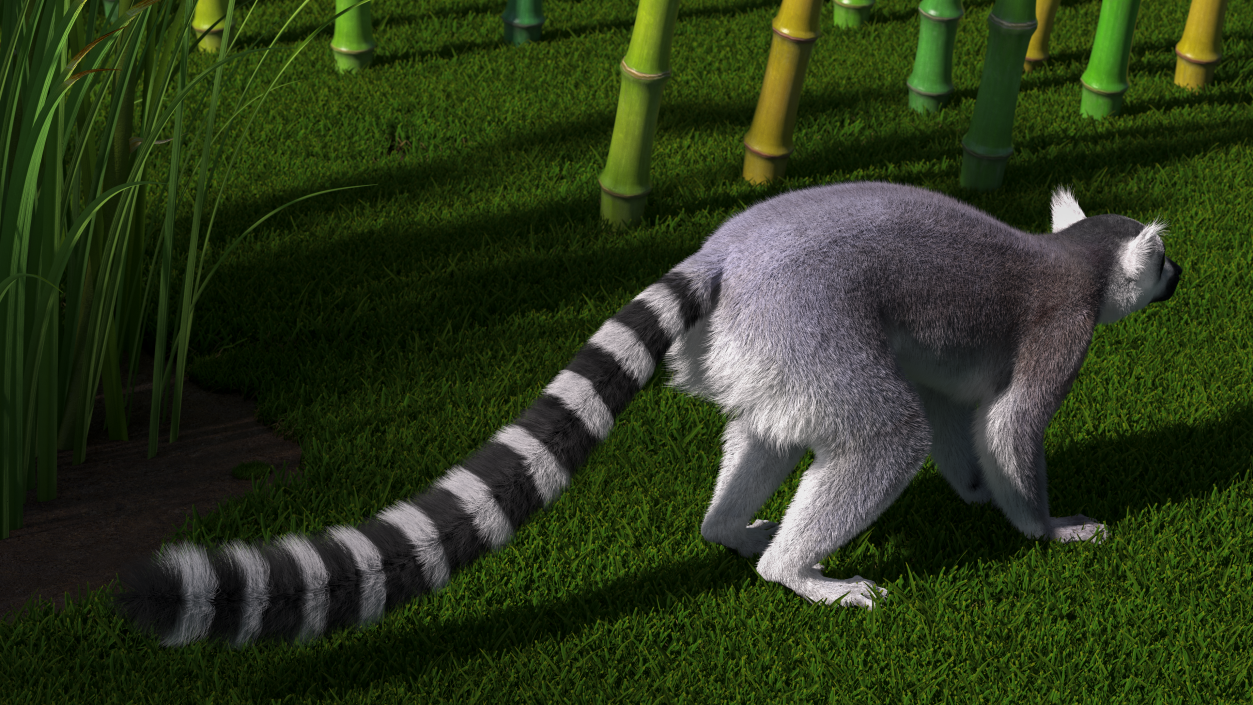 Lemur Fur 3D model