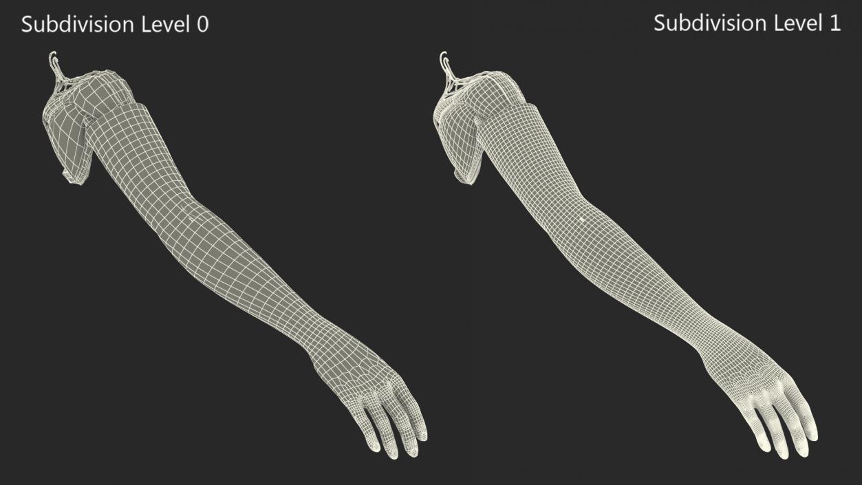 3D Arm Skin and Anatomy Asian Female model