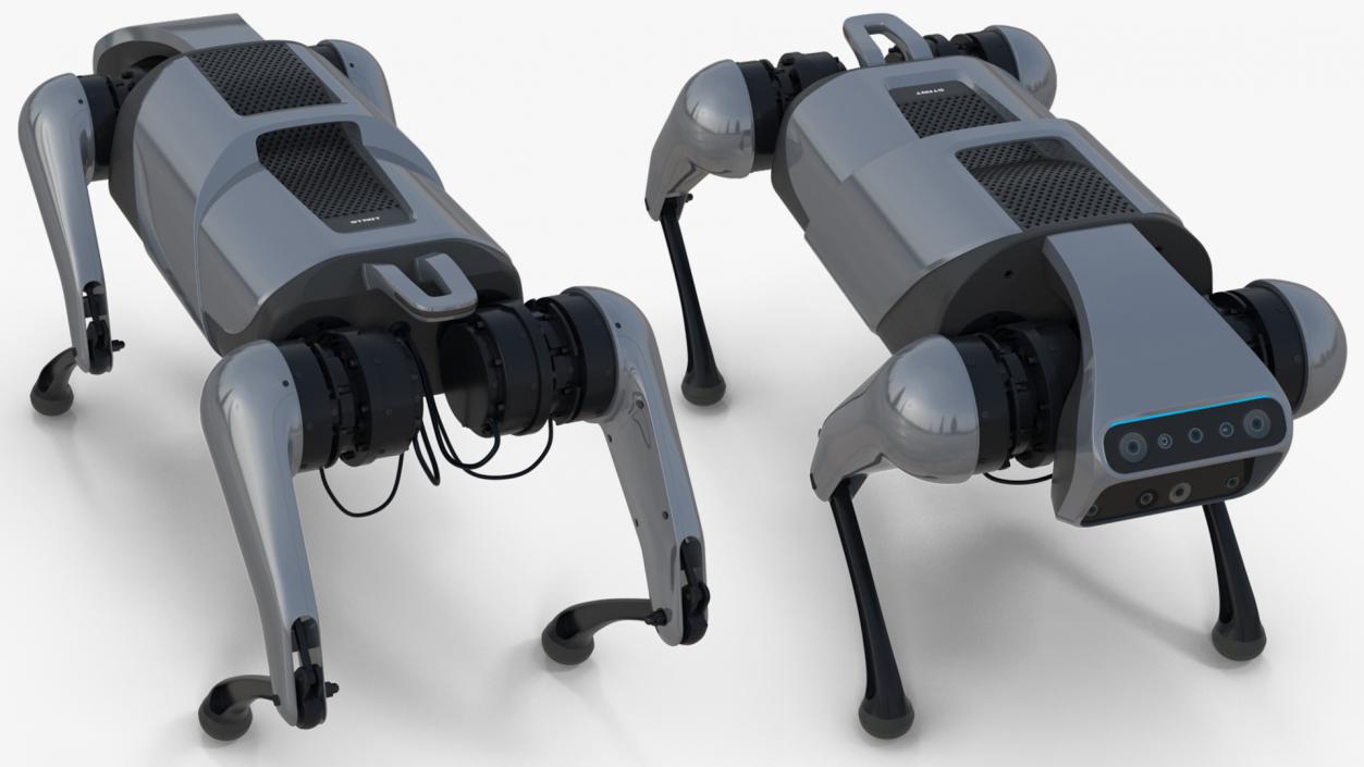 CyberDog Gray Rigged for Cinema 4D 3D model