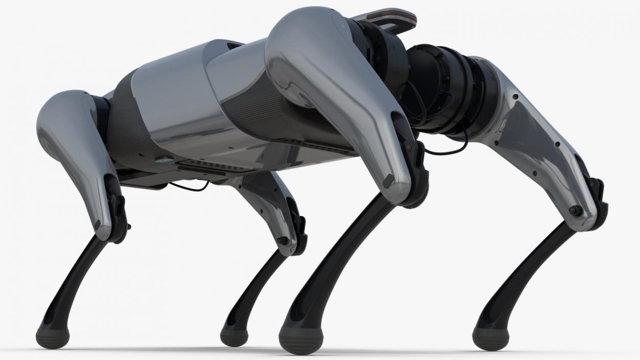 CyberDog Gray Rigged for Cinema 4D 3D model