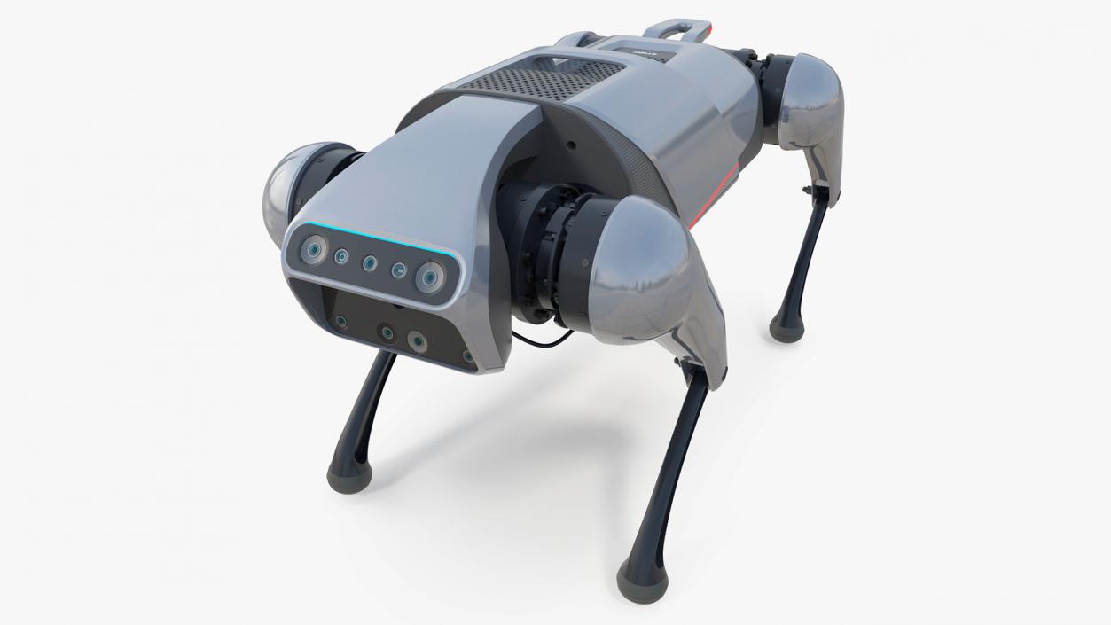 CyberDog Gray Rigged for Cinema 4D 3D model