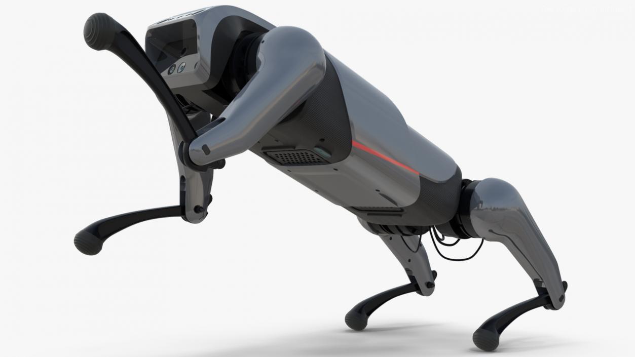 CyberDog Gray Rigged for Cinema 4D 3D model