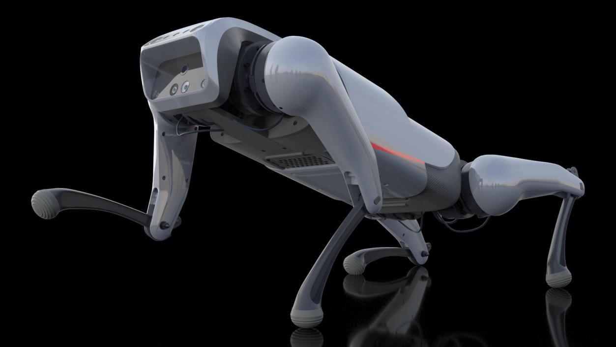 CyberDog Gray Rigged for Cinema 4D 3D model