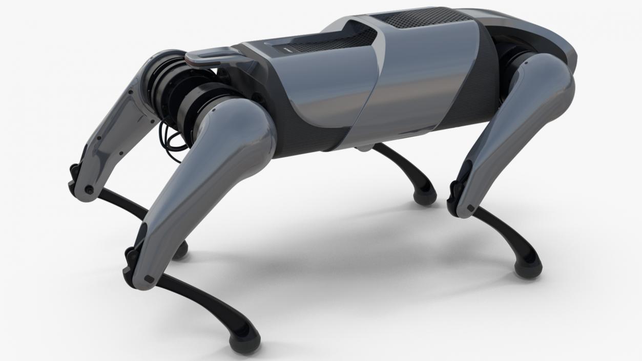 CyberDog Gray Rigged for Cinema 4D 3D model