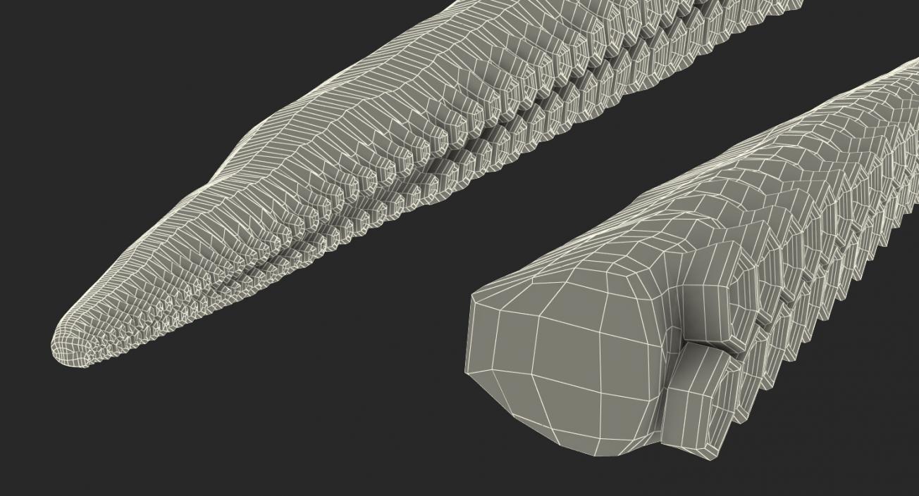 3D model Tentacle