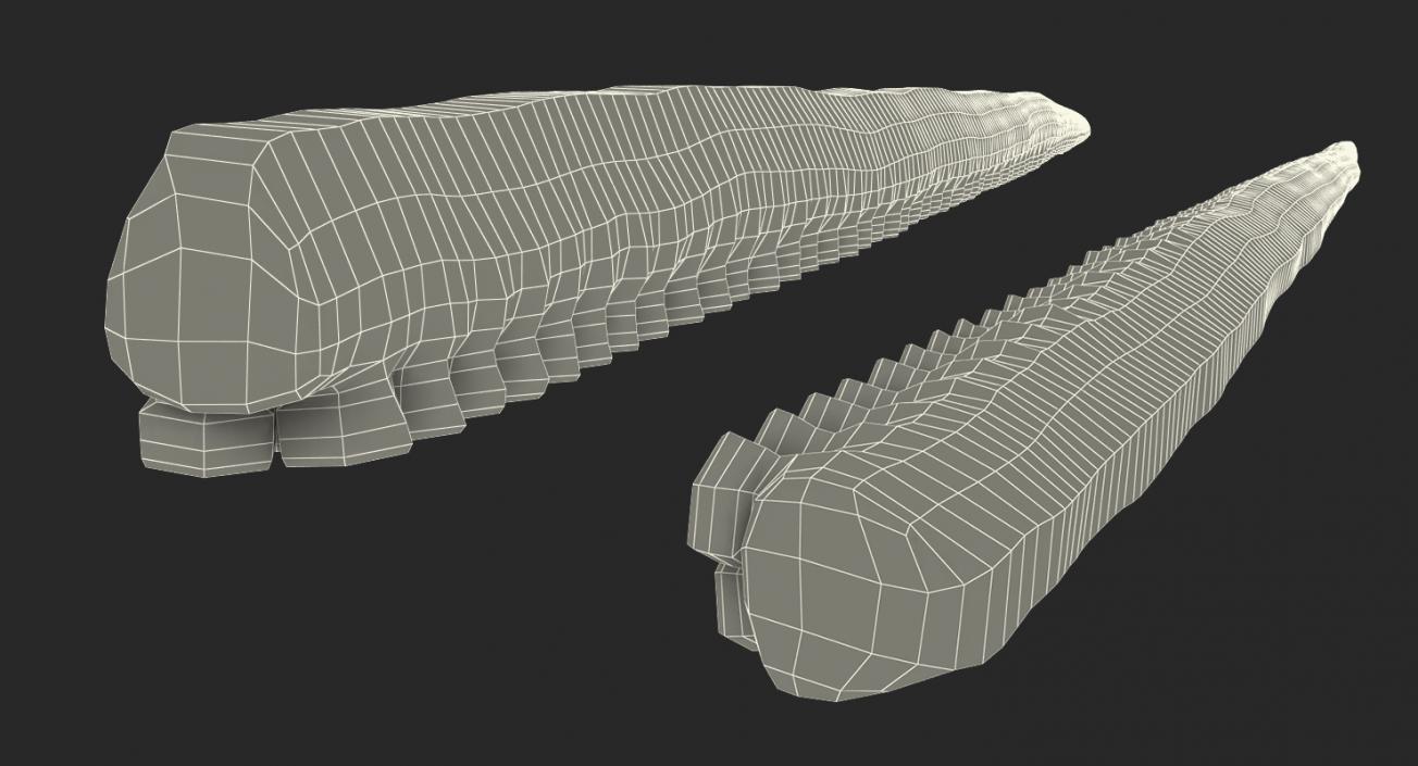 3D model Tentacle