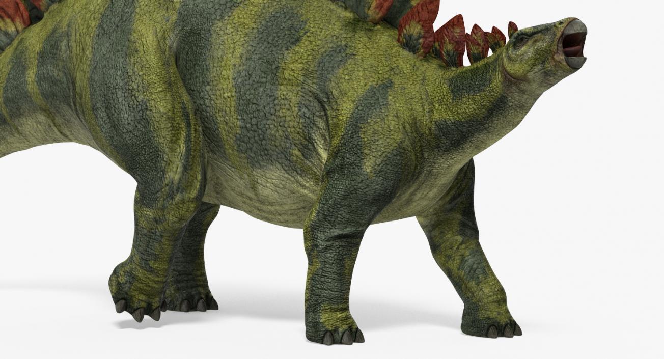 Stegosaurus Walking Pose 3D model