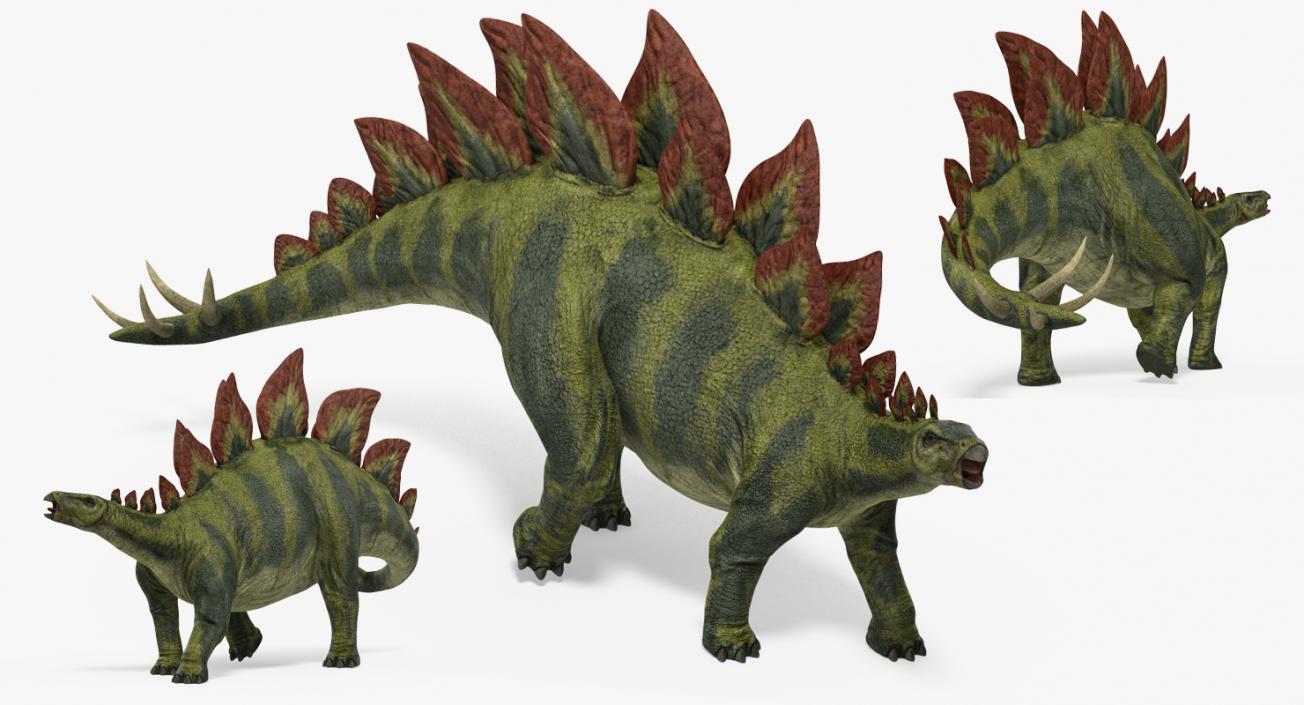 Stegosaurus Walking Pose 3D model