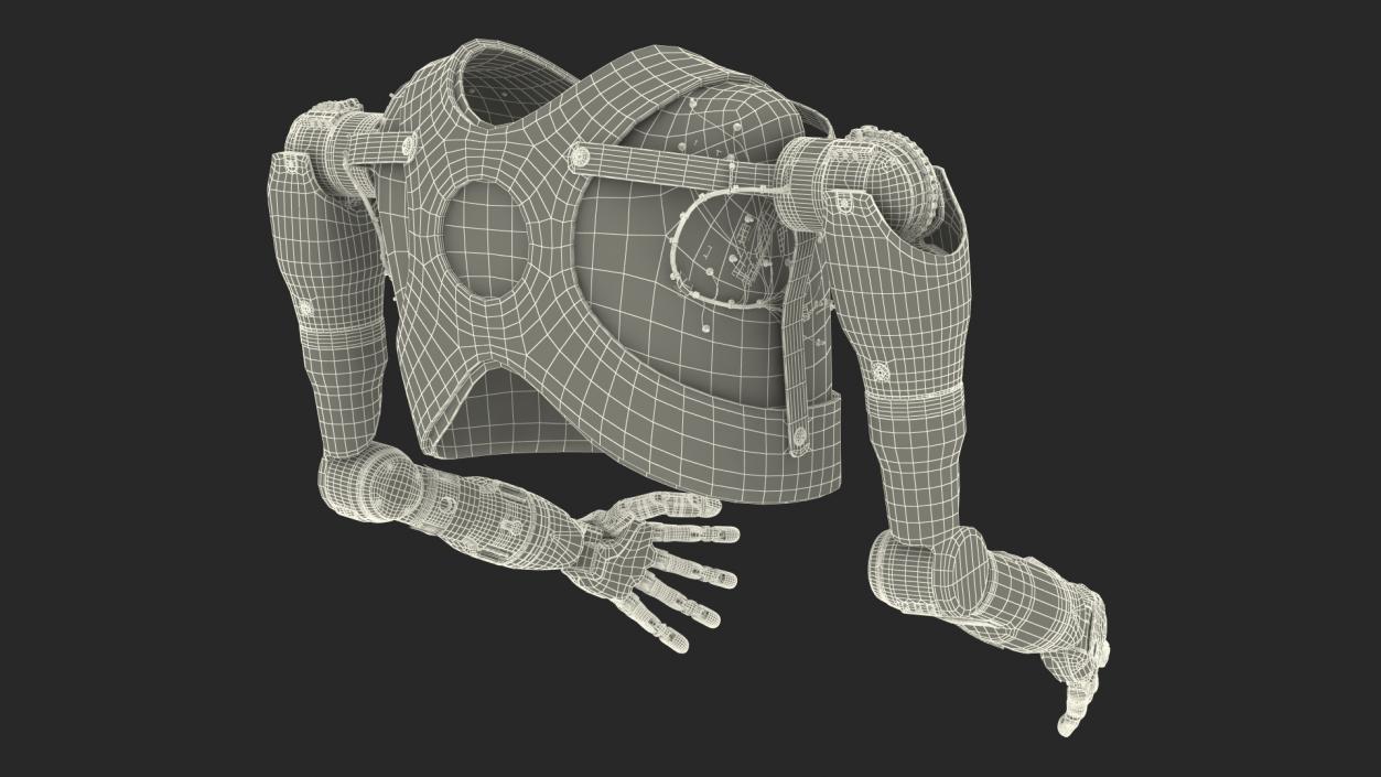 3D Modular Prosthetic Limbs Fur model