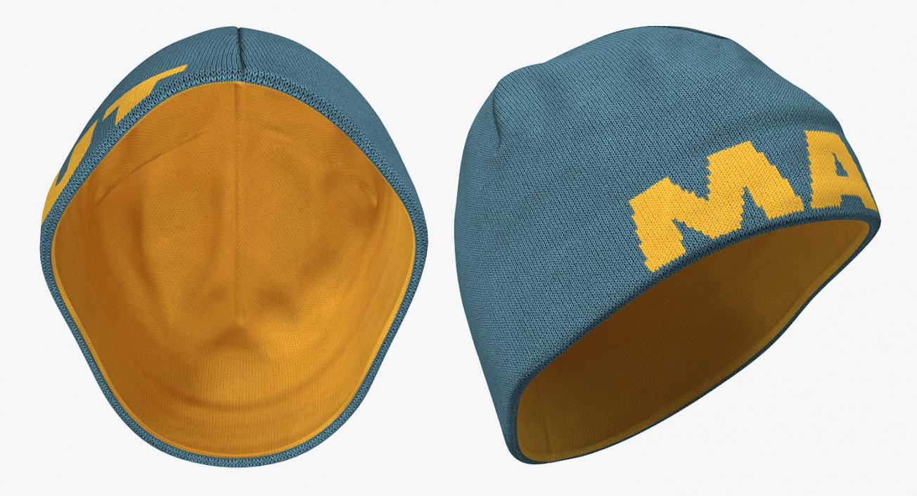 3D model Mens Winter Hat