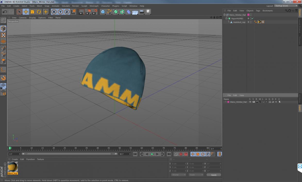 3D model Mens Winter Hat