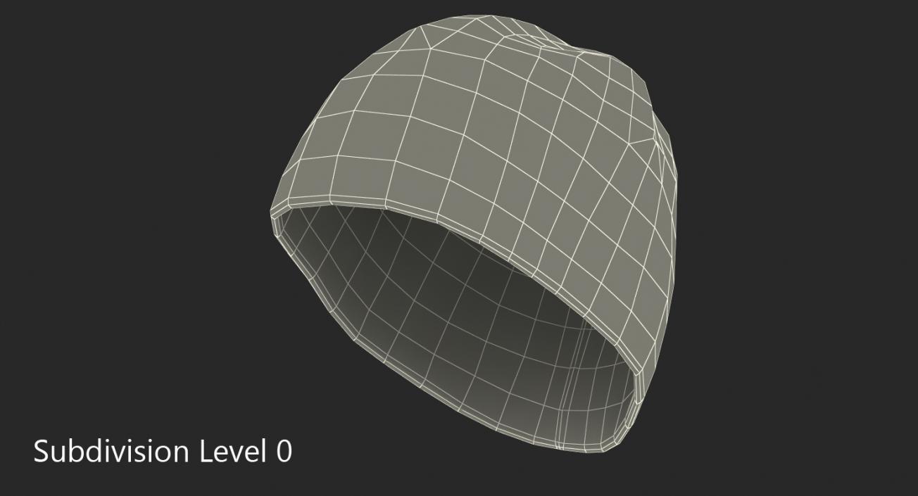 3D model Mens Winter Hat