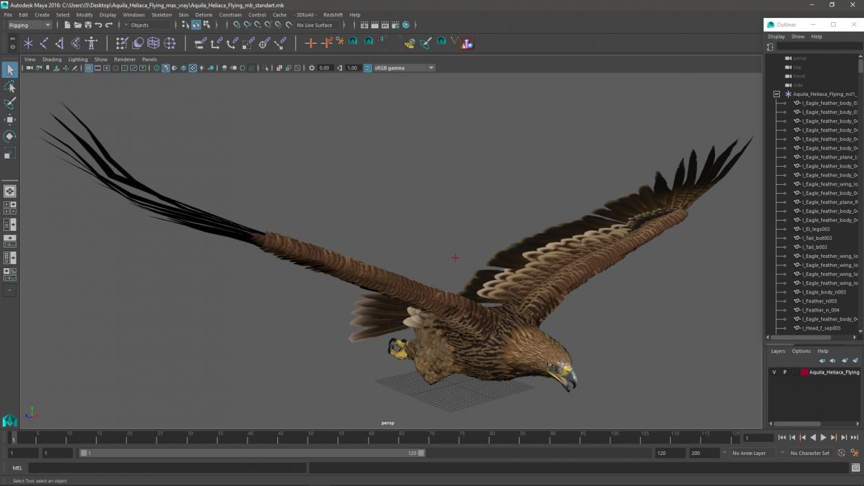 3D Aquila Heliaca Flying