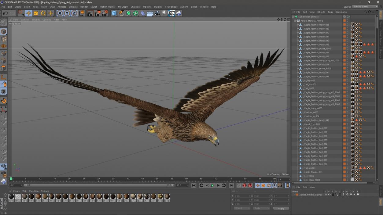 3D Aquila Heliaca Flying