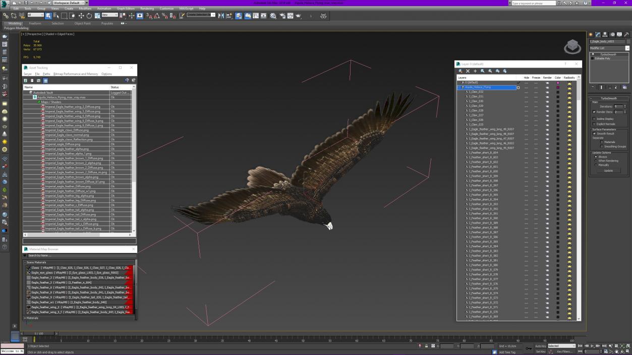 3D Aquila Heliaca Flying