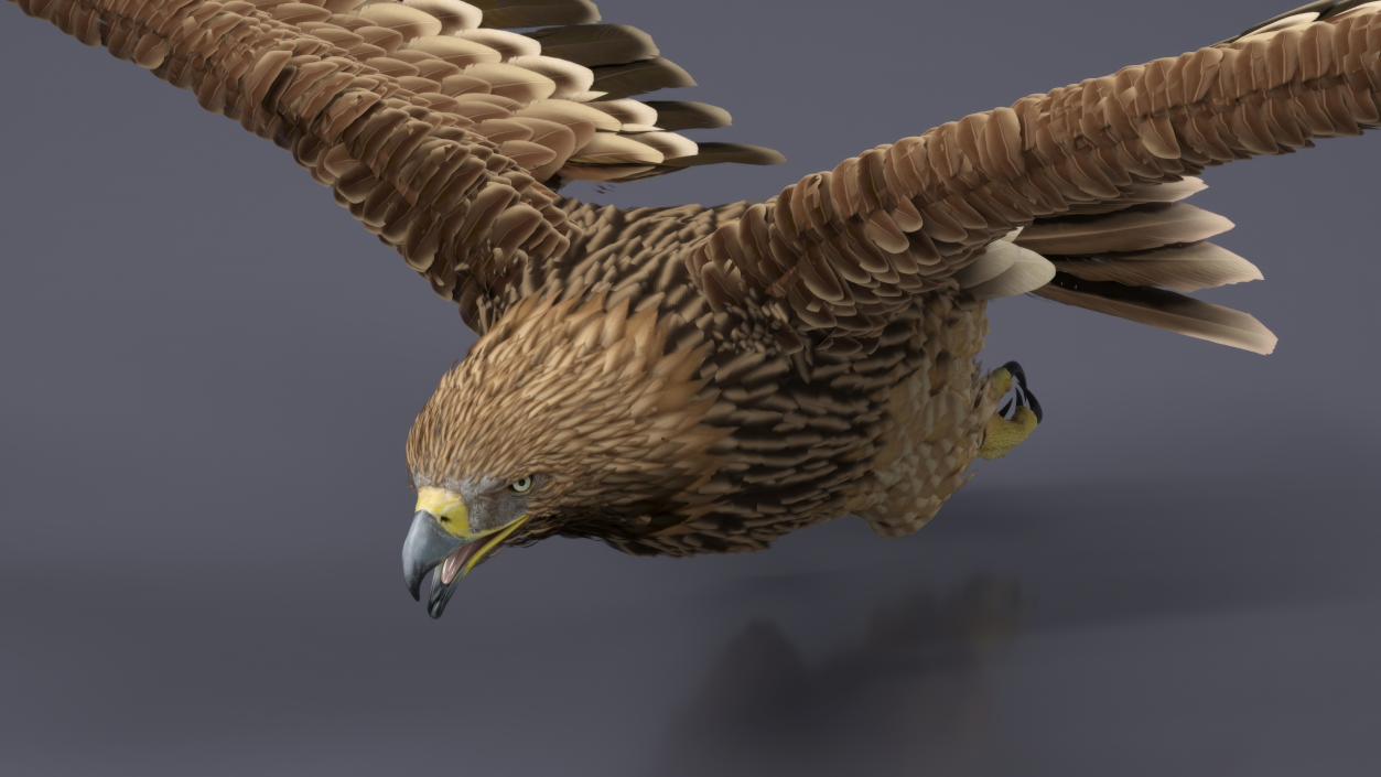 3D Aquila Heliaca Flying