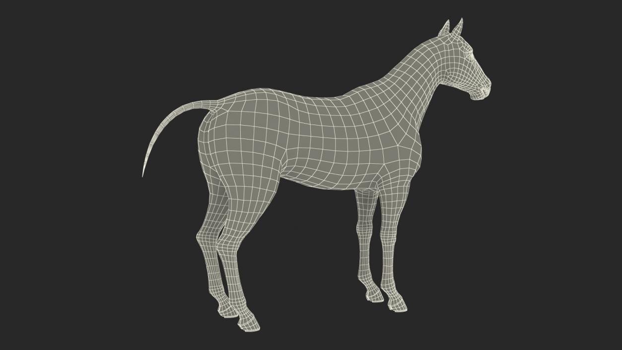 3D model White Horse Fur