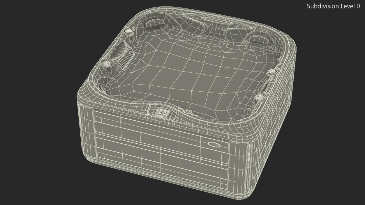 Large Hot Tub with Water 3D model