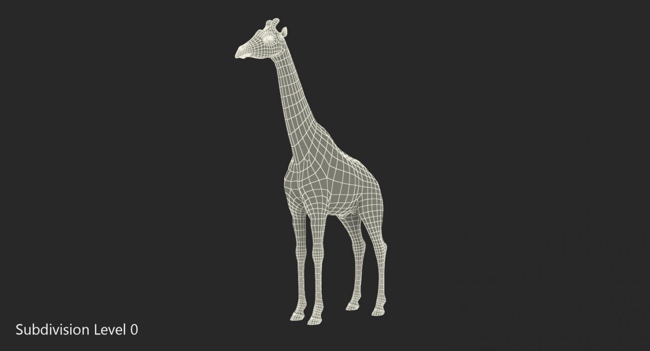 African Giraffe Fur 3D model