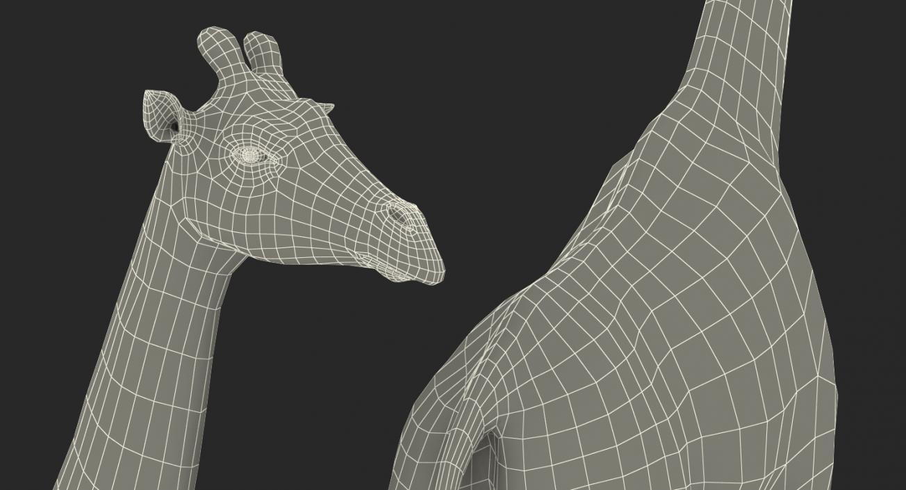 African Giraffe Fur 3D model