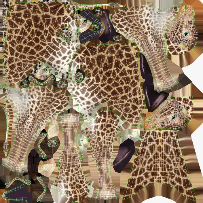 African Giraffe Fur 3D model