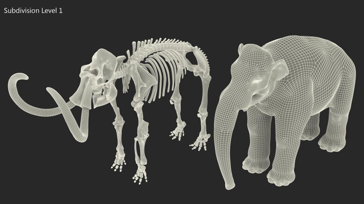 Adult Mammoth Old Skeleton Shell 3D