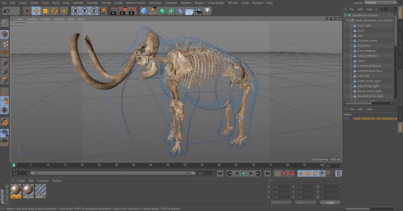 Adult Mammoth Old Skeleton Shell 3D