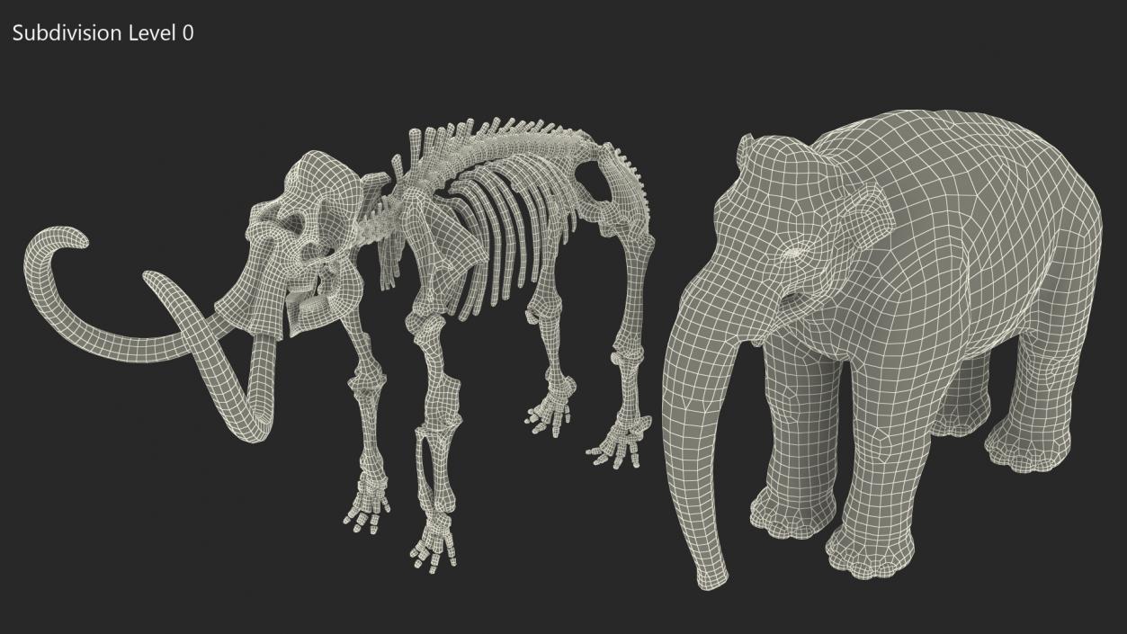 Adult Mammoth Old Skeleton Shell 3D