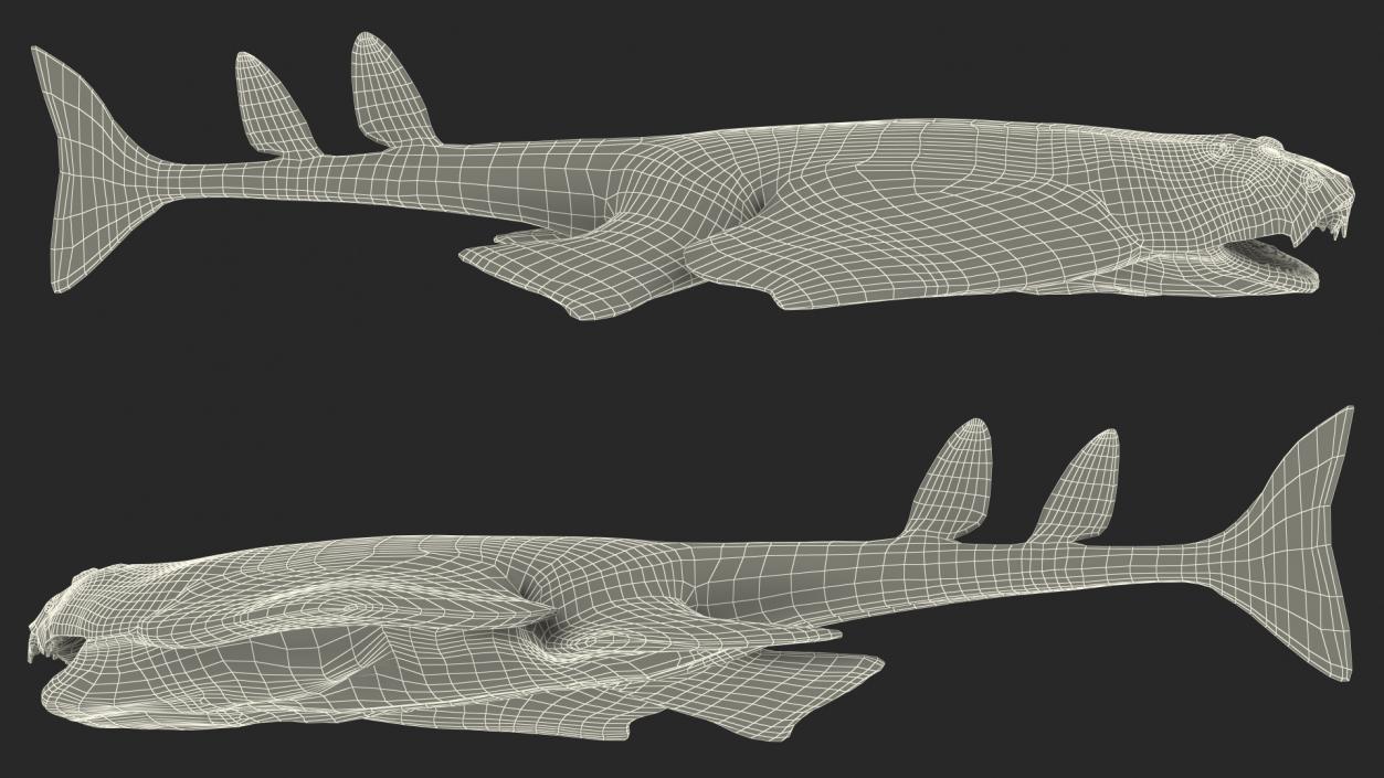 Angel Shark Rigged for Maya 3D