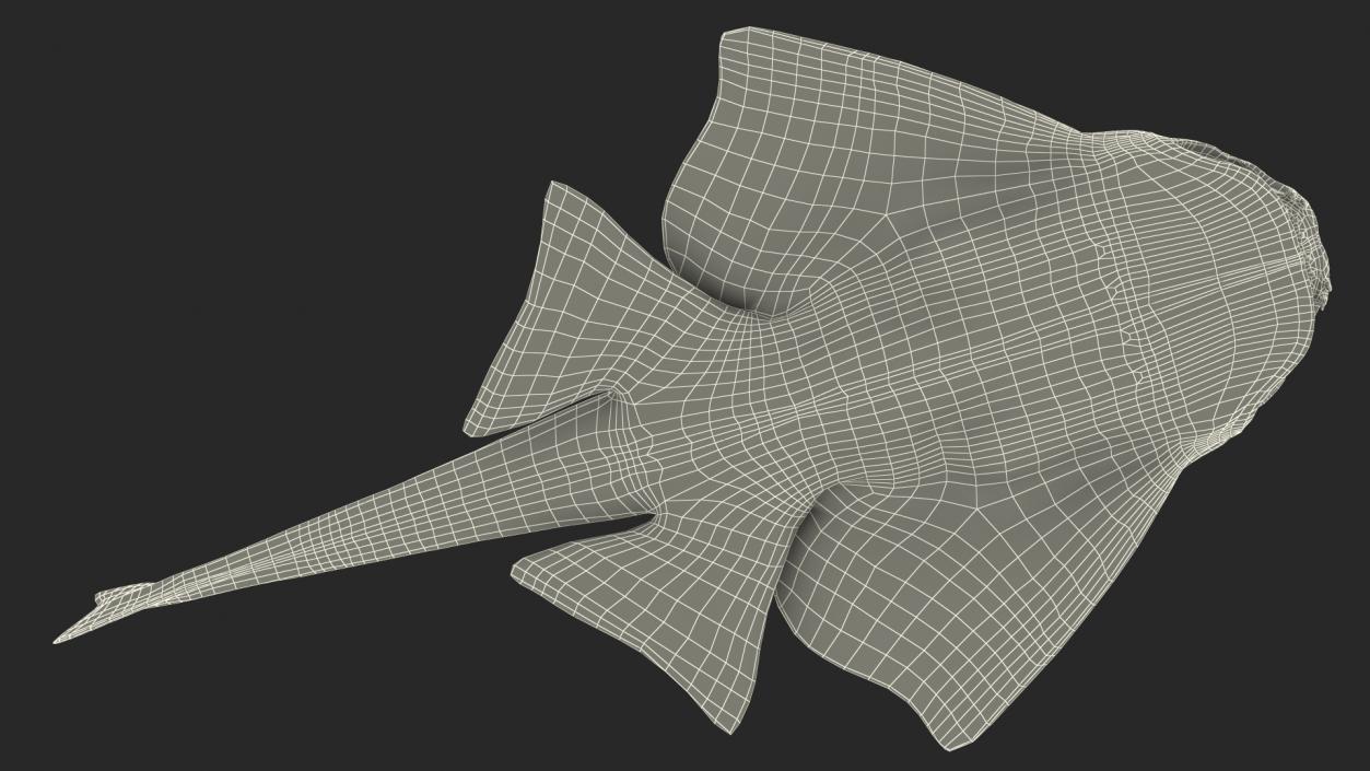 Angel Shark Rigged for Maya 3D