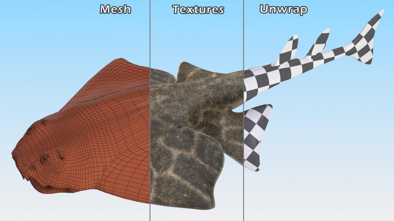 Angel Shark Rigged for Maya 3D