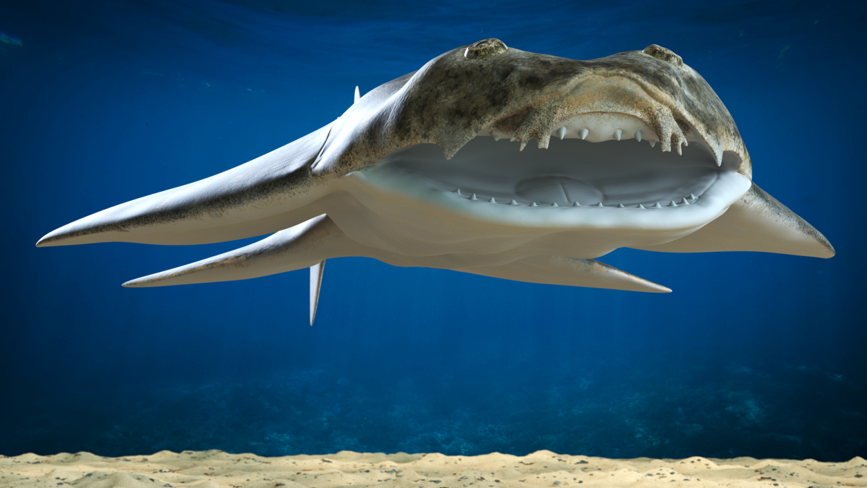 Angel Shark Rigged for Maya 3D