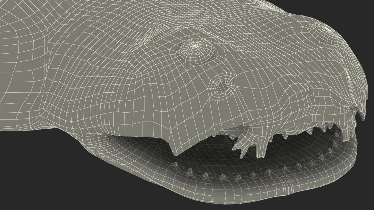 Angel Shark Rigged for Maya 3D