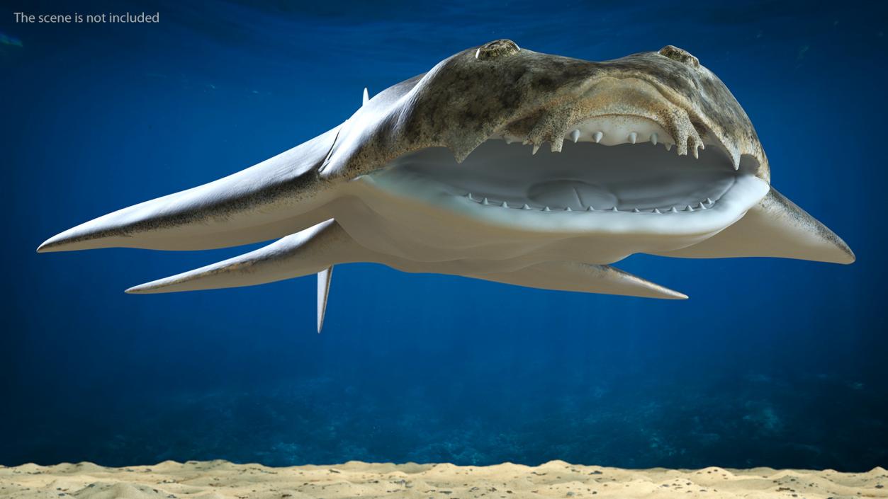 Angel Shark Rigged for Maya 3D