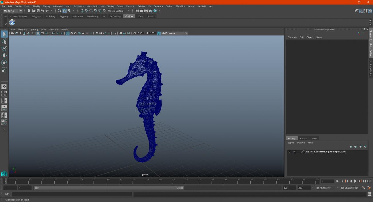 Slender Seahorse Hippocampus Reidi 3D model