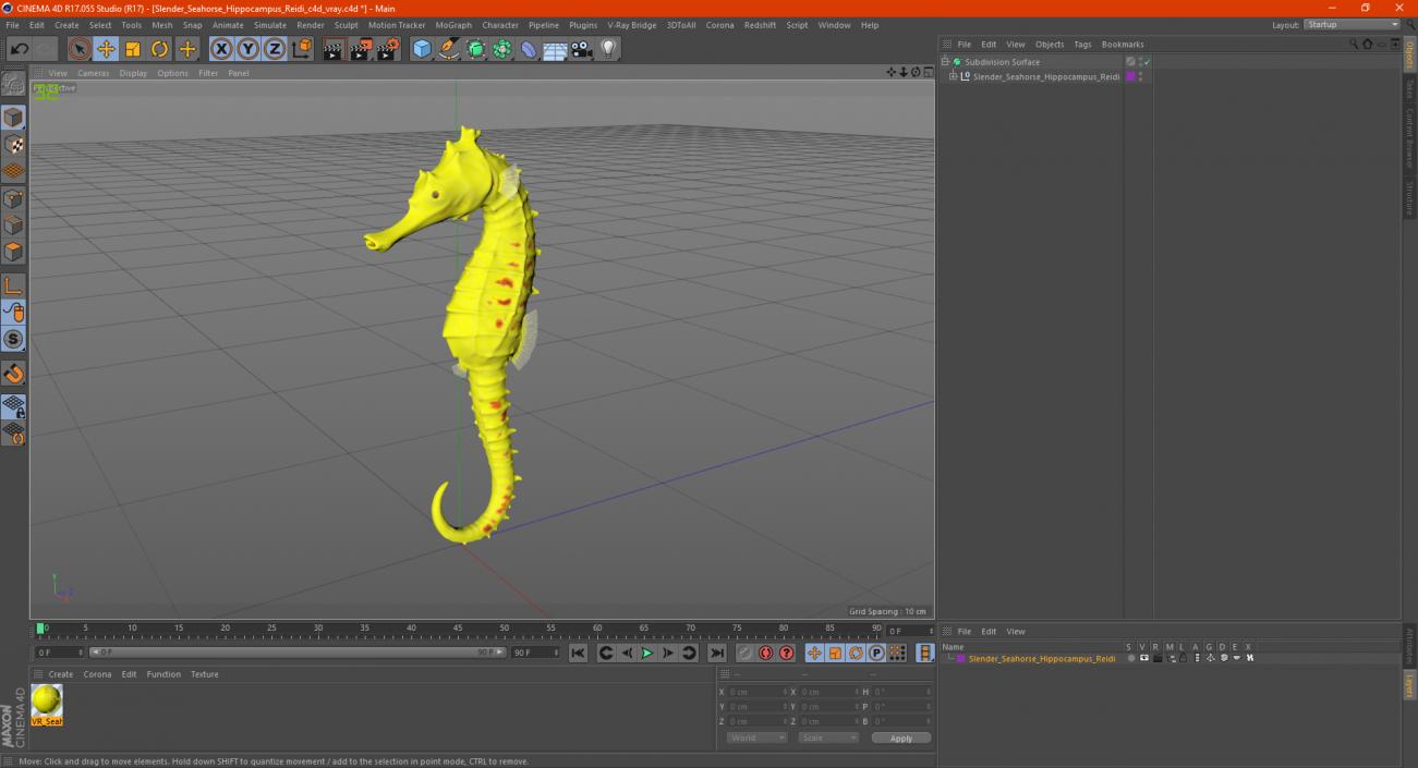 Slender Seahorse Hippocampus Reidi 3D model