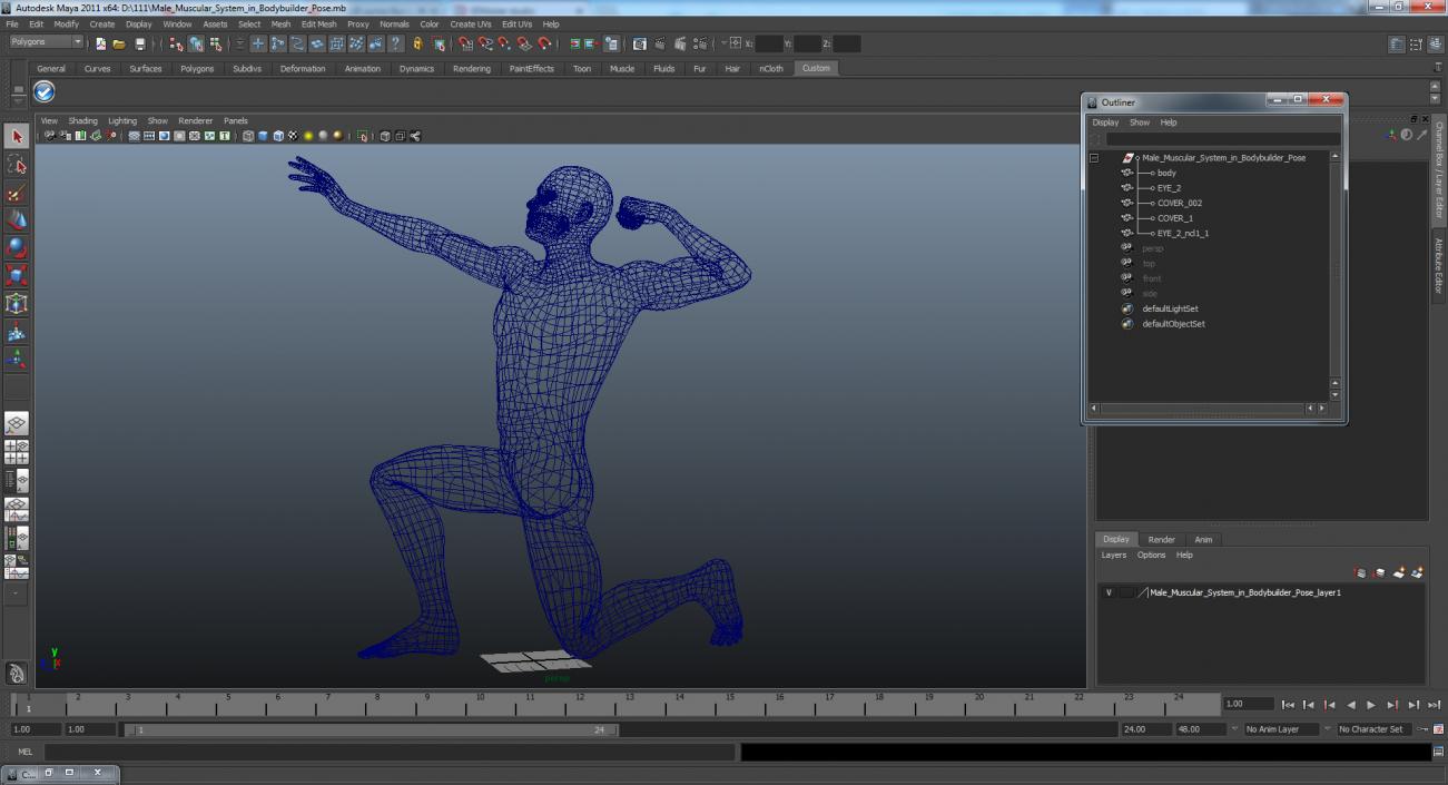 3D model Male Muscular System in Bodybuilder Pose